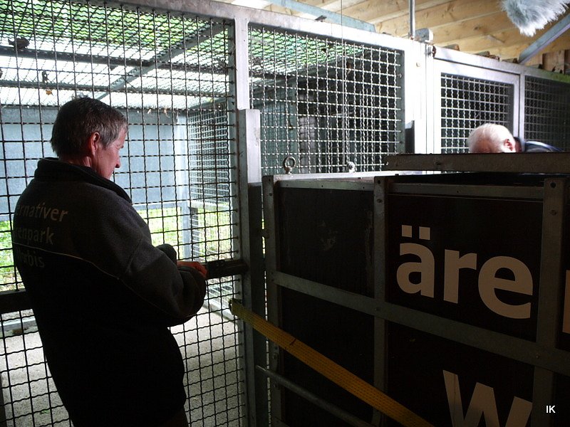 B&auml;rin Conny zieht nach Worbis