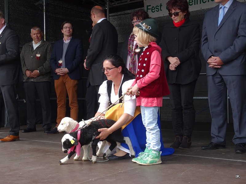 Stadtfest in Leinefelde