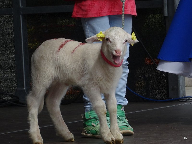 Stadtfest in Leinefelde