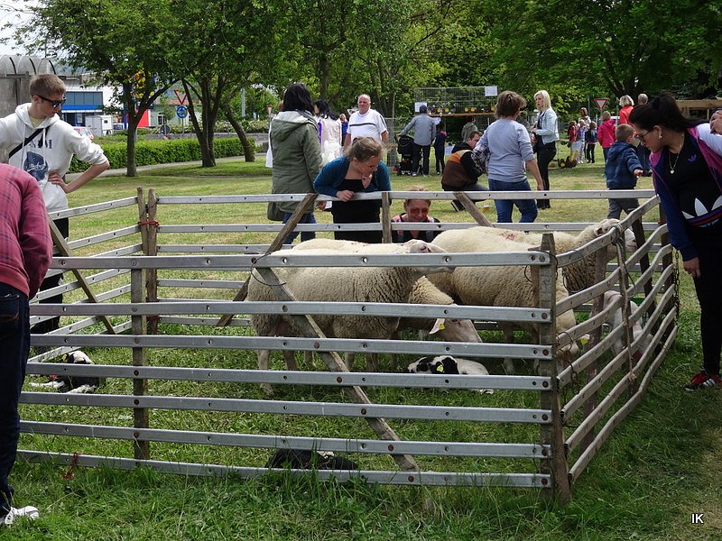 Stadtfest in Leinefelde
