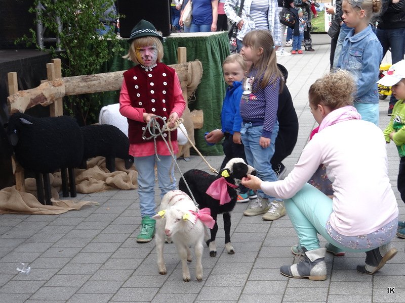 Stadtfest in Leinefelde