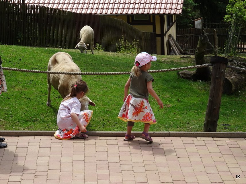 B&auml;renfest im B&auml;renpark