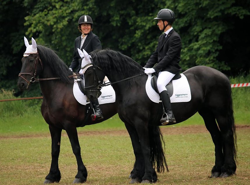 Pferde, Pferde und nochmals Pferde