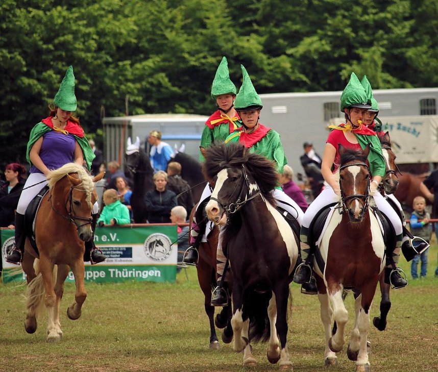 Pferde, Pferde und nochmals Pferde