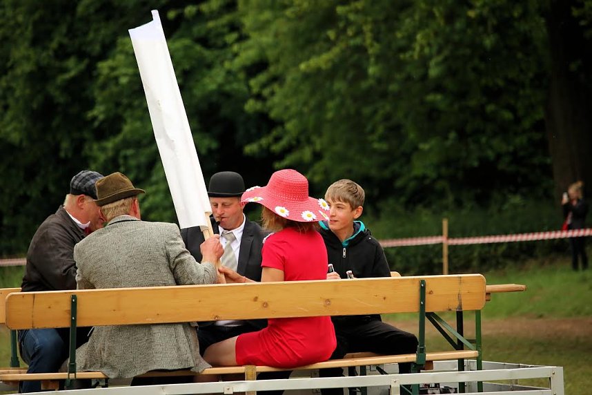 Pferde, Pferde und nochmals Pferde