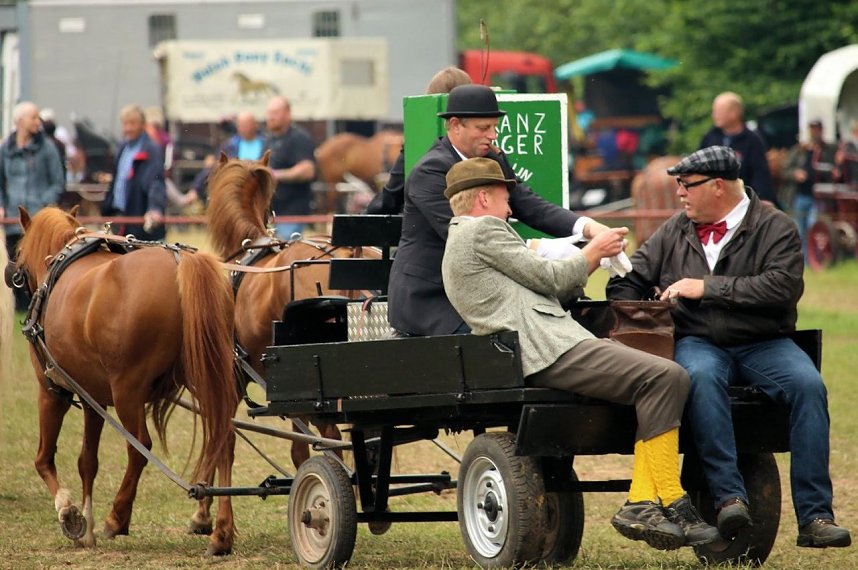 Pferde, Pferde und nochmals Pferde