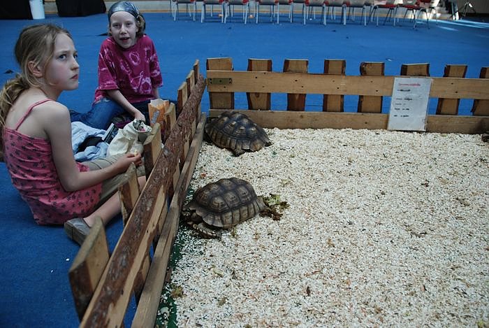 Welt der Reptilien in der Wiedingsburghalle