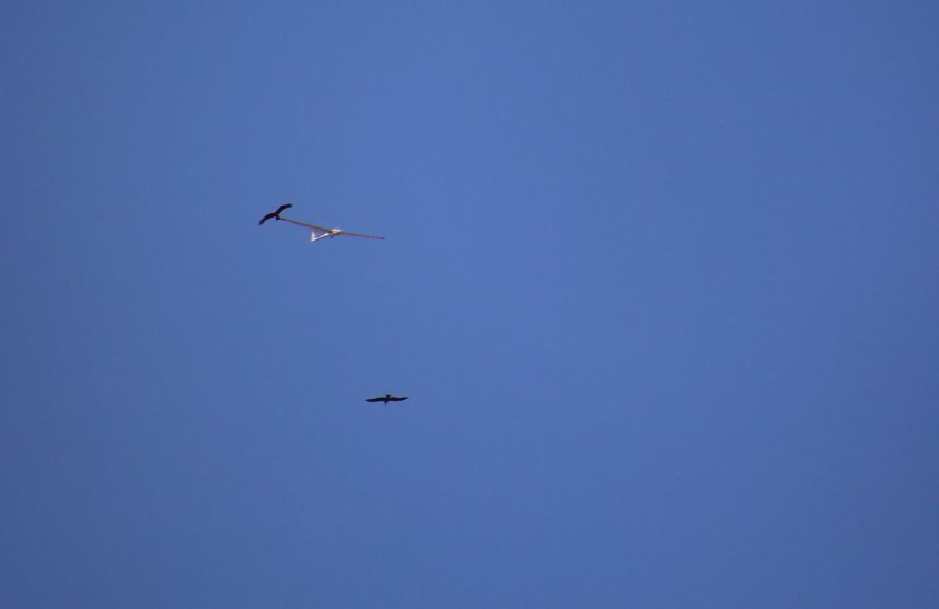 18. Flugtage in Hain