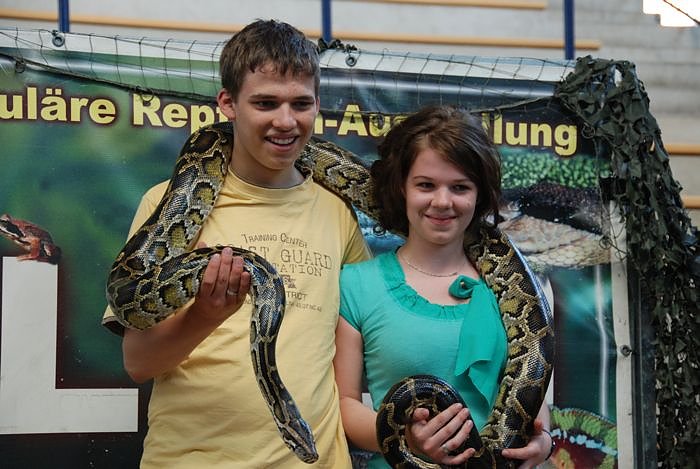 Welt der Reptilien in der Wiedingsburghalle