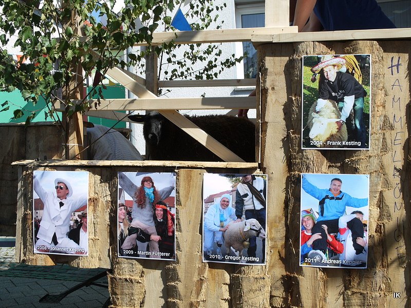 Festumzug Gernrode 2015