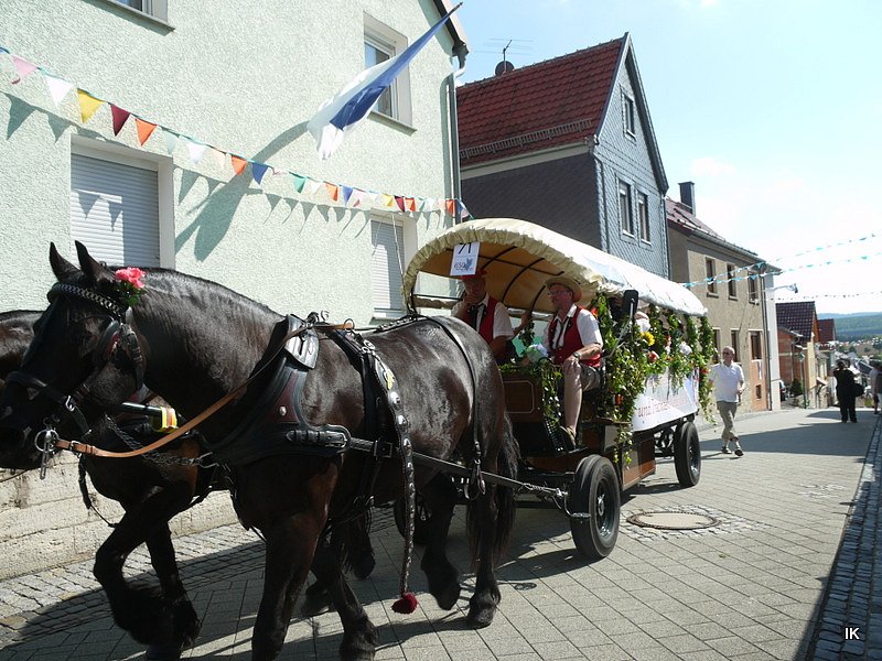 Festumzug Gernrode 2015