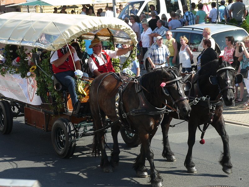 Festumzug Gernrode 2015