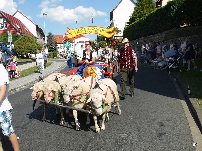 Festumzug Gernrode 2015
