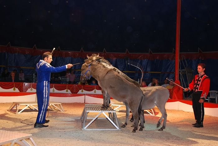 Circus Rolina gastiert in Nordhausen 