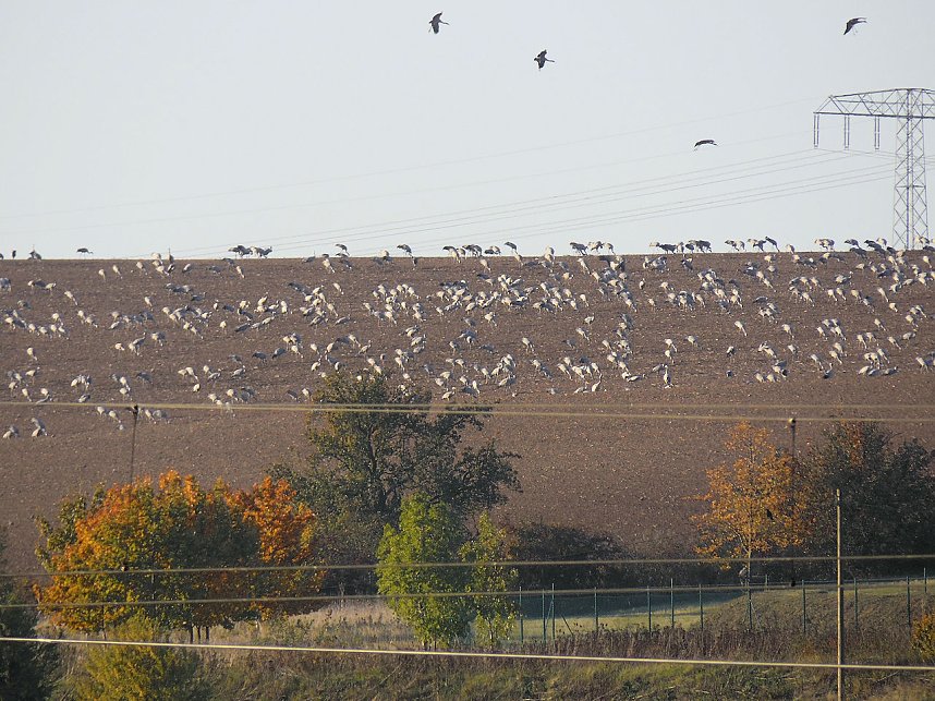 Die Flugschau ist er&ouml;ffnet