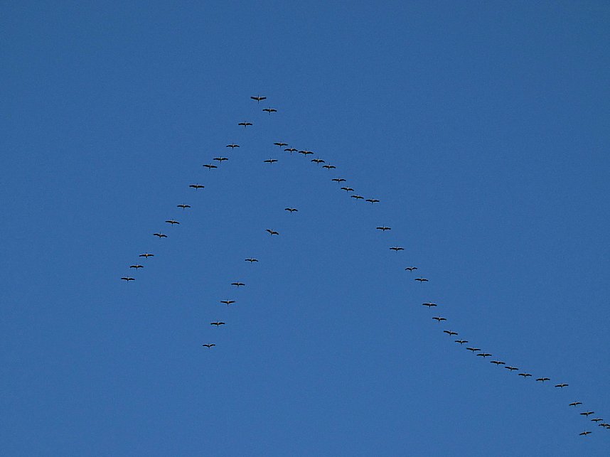 Die Flugschau ist er&ouml;ffnet