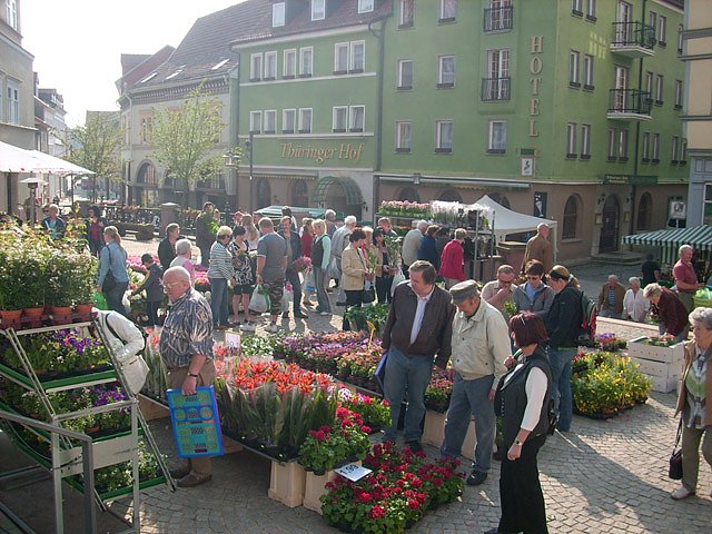 Pflanzenmarkt am Sonntag