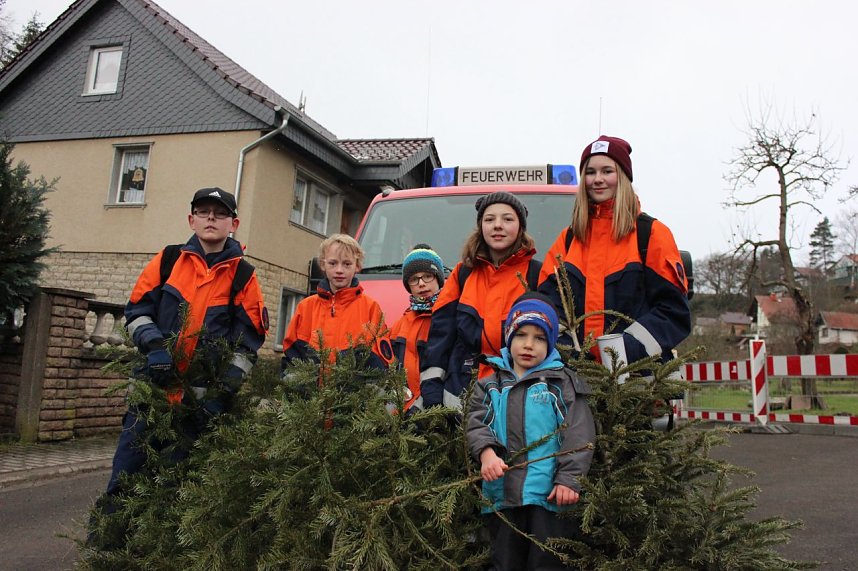 Weihnachtsb&auml;ume eingesammelt