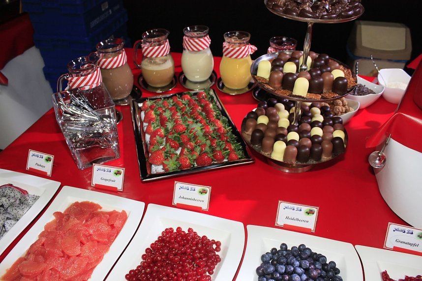 20. &Auml;rzte- und Apothekerball in Nordhausen