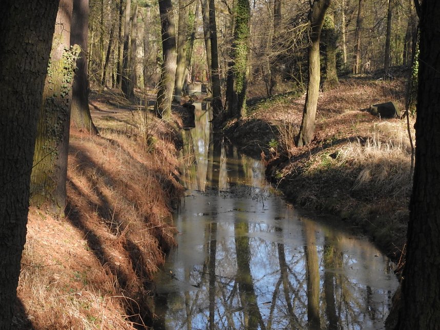 Peter Blei zu Besuch auf Schloss Oranienbaum