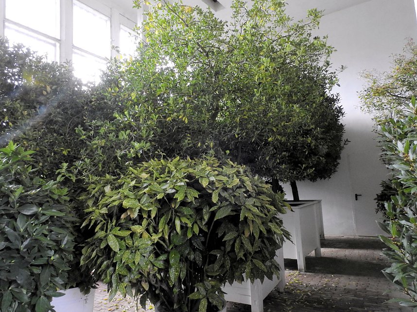 Peter Blei zu Besuch auf Schloss Oranienbaum