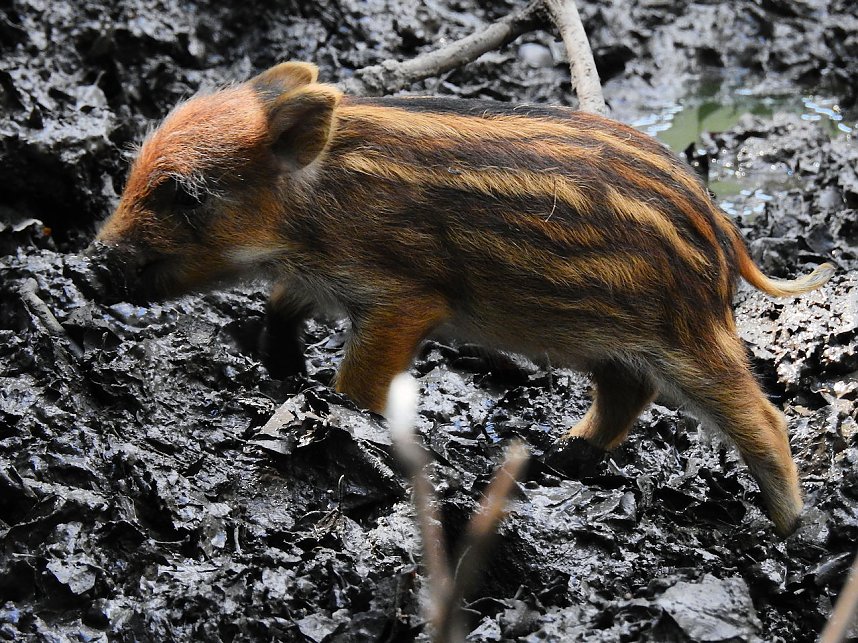 Peter Blei unterwegs in K&ouml;then