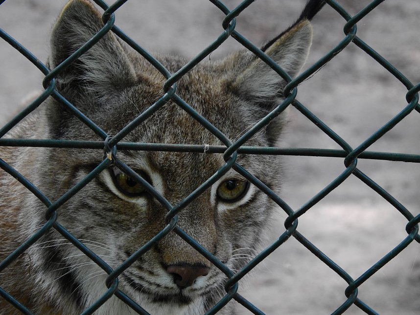 Peter Blei unterwegs in K&ouml;then