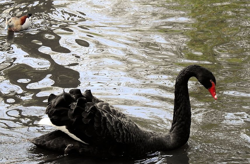 Peter Blei unterwegs in K&ouml;then