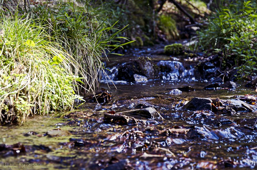 Unterwegs im Naturpark S&uuml;dharz