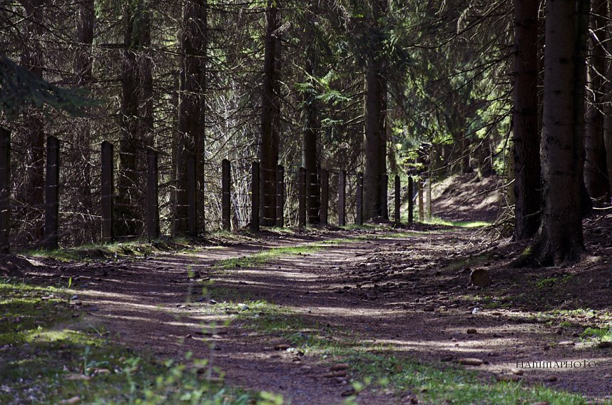 Unterwegs im Naturpark S&uuml;dharz