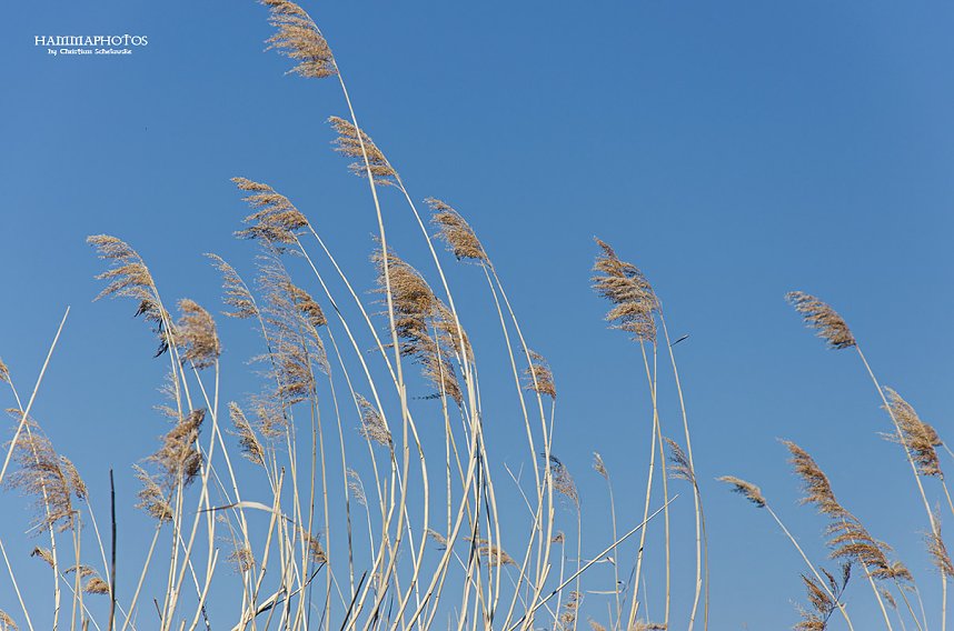Auf der Unstrut unterwegs