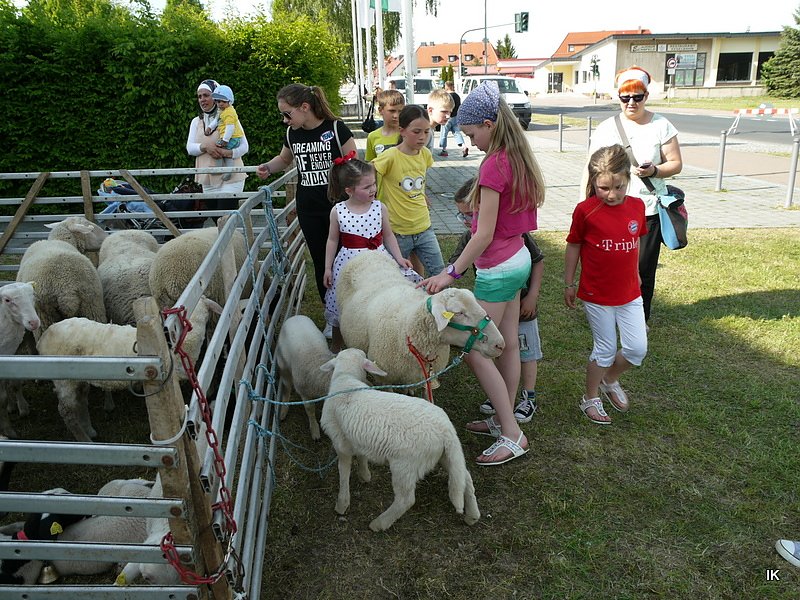 Fest der L&auml;mmerschw&auml;nze