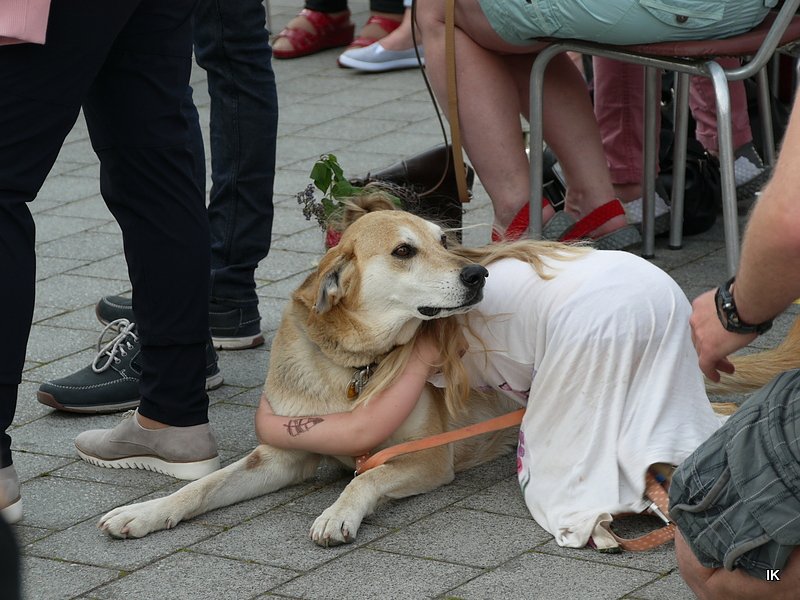 Fest der L&auml;mmerschw&auml;nze