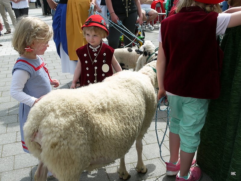 fest der L&auml;mmerschw&auml;nze