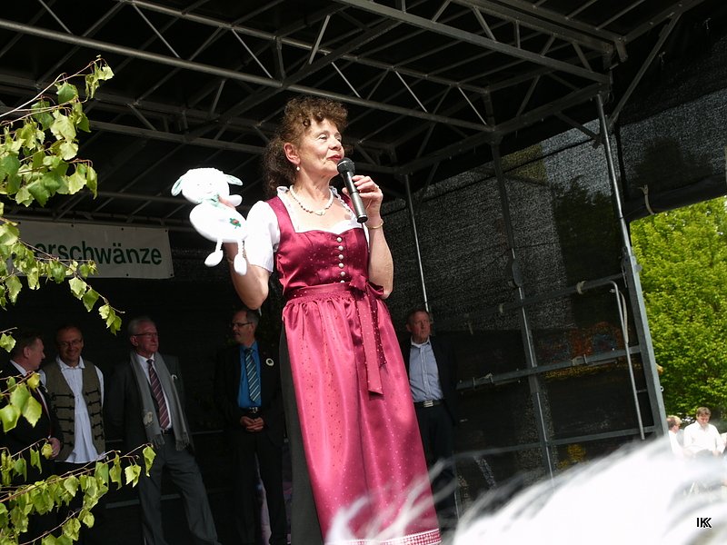 fest der L&auml;mmerschw&auml;nze