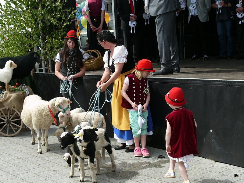 fest der L&auml;mmerschw&auml;nze