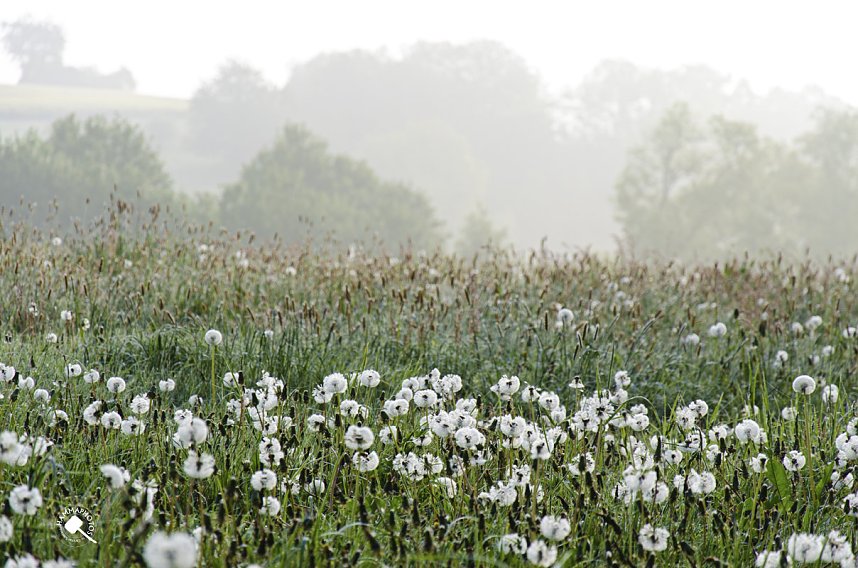 Wanderung im Morgengrauen