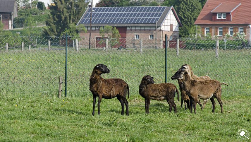 Wanderung im Morgengrauen