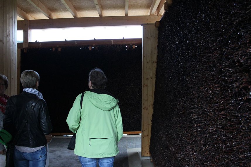 Solewasser-Vitalpark feierlich eingeweiht