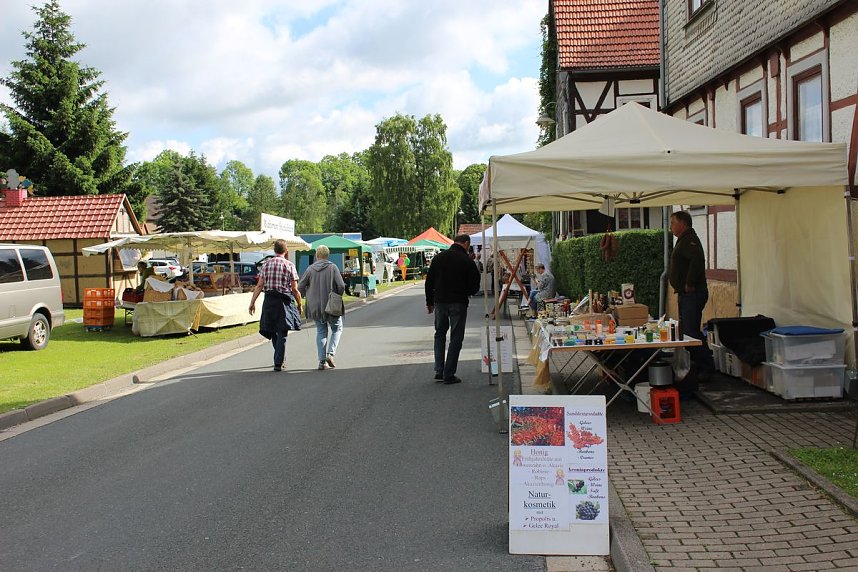 &Uuml;ber 100 K&uuml;nstler zeigen was sie k&ouml;nnen