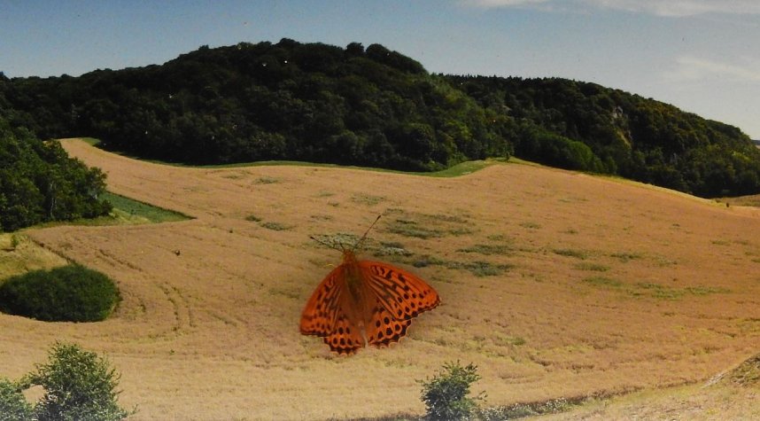 Peter Blei unterwegs - diesmal in der freien Natur und im Jugendwaldheim Rathsfeld