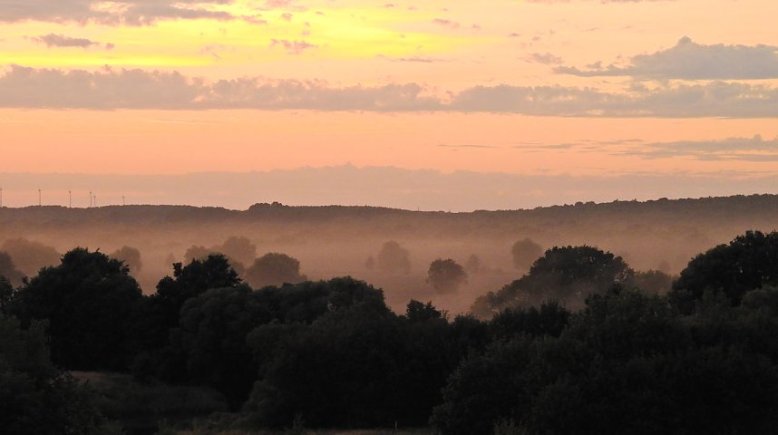 Spinnen im Mondschein am Goitzsche See