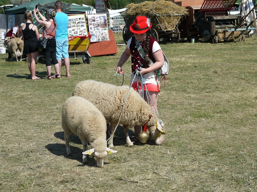 Eichsfelder Bauernmarkt