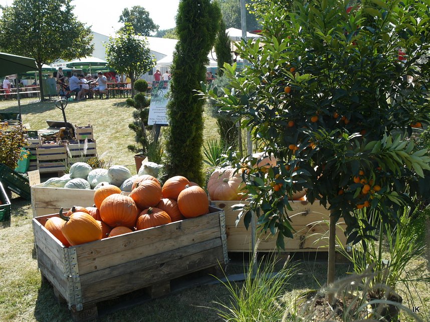 Eichsfelder Bauernmarkt