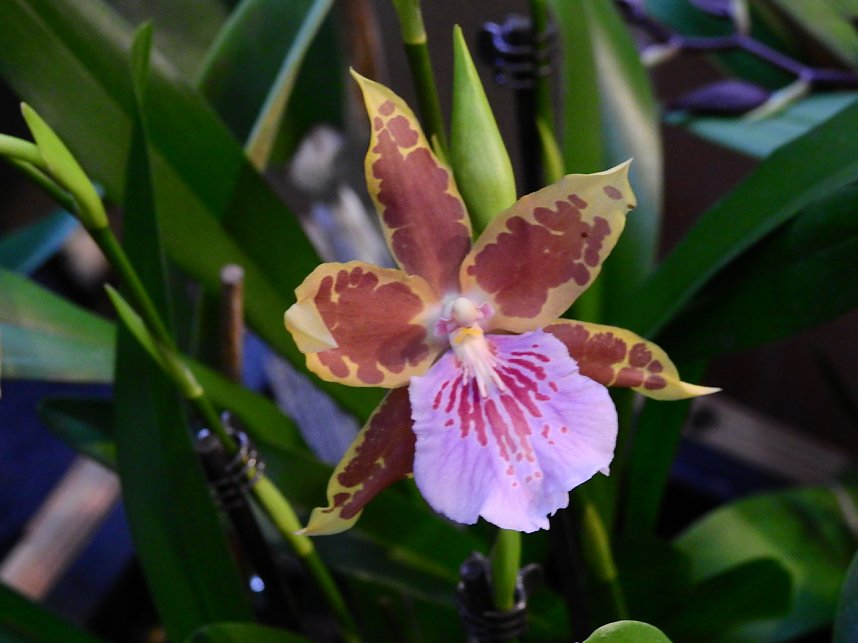 25 Jahre Keramikscheune Spickendorf