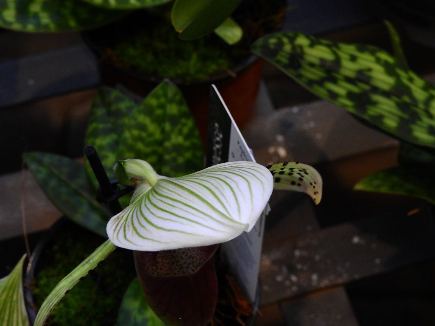 25 Jahre Keramikscheune Spickendorf