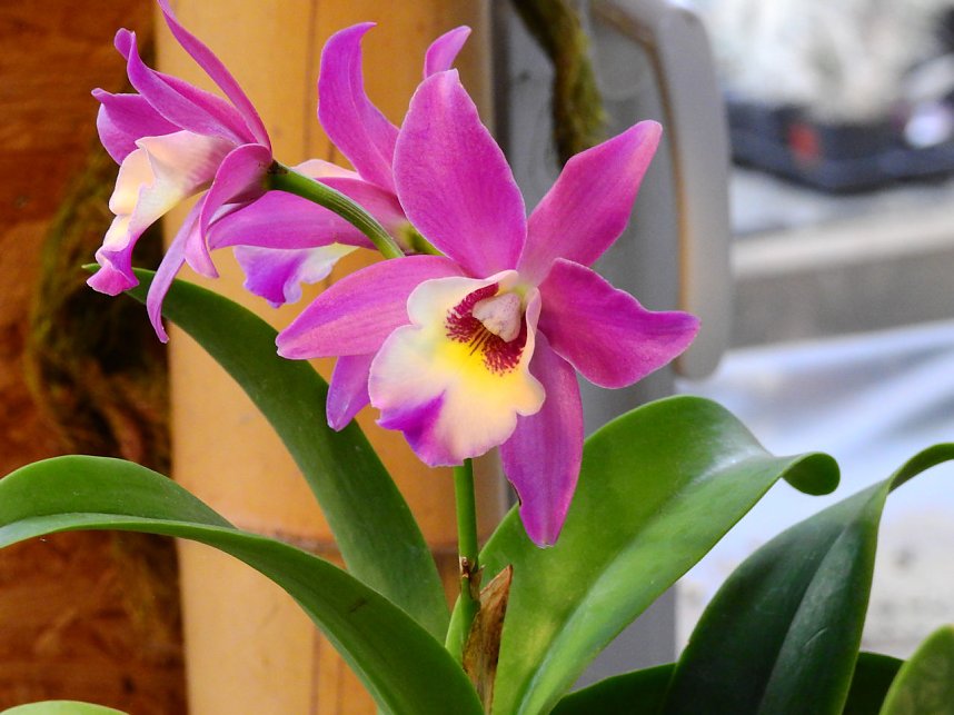 25 Jahre Keramikscheune Spickendorf