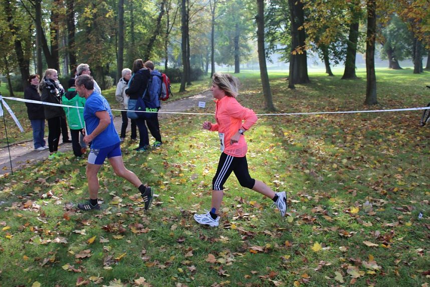 Die langen Strecken beim Stadtparklauf