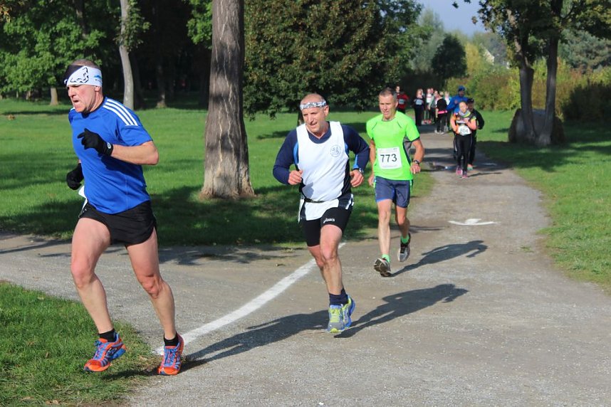 Die langen Strecken beim Stadtparklauf