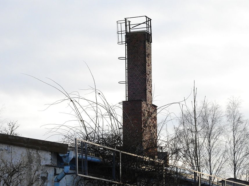 Peter Blei in den Ruinen der Schuhfabrik in Wiehe